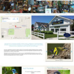 Birdhouse Boutique Custom Website