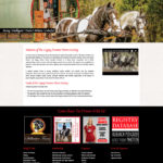Gypsy Vanner Horse Society Website